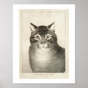 Poster L'impression Vintage préférée du chat