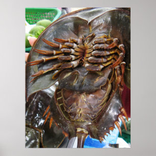 Poster Limule ... Cuisine de rue asiatique thaïlandaise