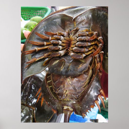 Poster Limule ... Cuisine de rue asiatique thaïlandaise (Devant)