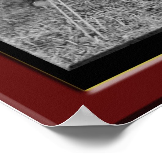 Poster Lincoln devient laxstastique ! (Coin)