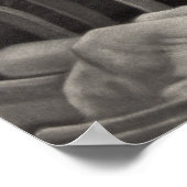 Poster Lincoln Lecture de la proclamation d'émancipation (Coin)