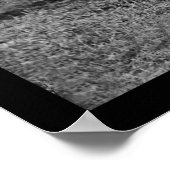 Poster Lincoln, Pinkerton et McClernand à Antietam 1862 (Coin)