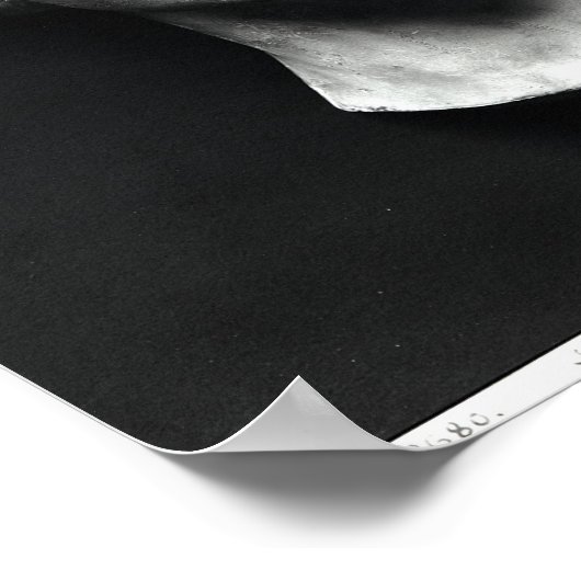 Poster L'Inconnue de la Seine' (Coin)