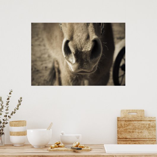 Poster L'incroyable comestible M. Ed (Cuisine)