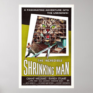 Poster L'incroyable rétrécissement de l'homme