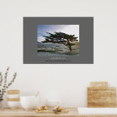 Poster Linda Mar Cypress (Cuisine)