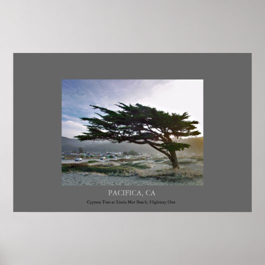 Poster Linda Mar Cypress (Devant)