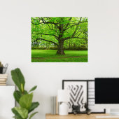 Poster Linden Tree (Bureau à domicile)