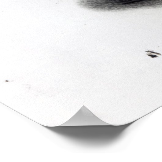 Poster Lindstrom avec les gâteaux de sarrasin (Coin)