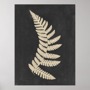 Poster Linen Fern