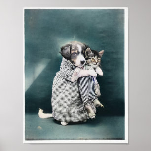 Poster L'Infirmière S'Occuper Du Chiot Pour Kitten 1914 C