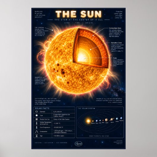 Poster L'infographie scientifique de la section transvers (Devant)
