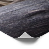 Poster Linha Animal - Arre burriquito (Coin)