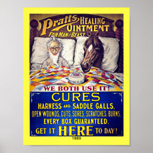 Poster Liniment 1880 de cheval de cru : Onguent de cheval