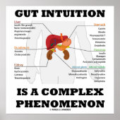Poster L'Intuition De L'Otus Est Un Phénomène Complexe En (Devant)