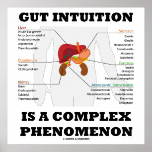 Poster L'Intuition De L'Otus Est Un Phénomène Complexe En