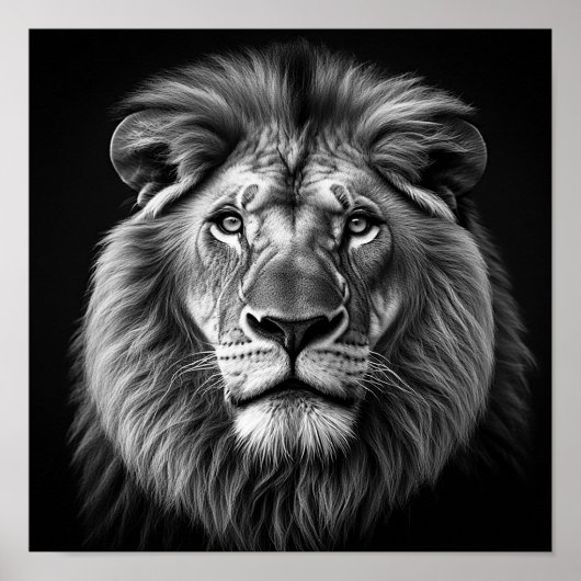 Poster Lion (Devant)