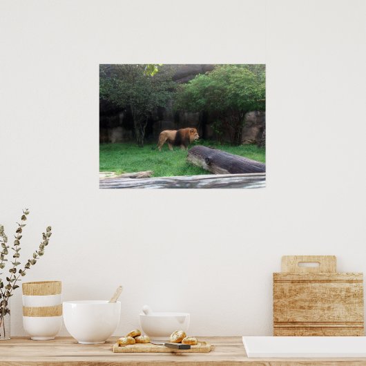 Poster Lion (Cuisine)