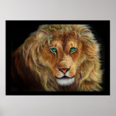 Poster Lion (Devant)