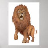 Poster Lion (Devant)