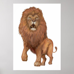 Poster Lion