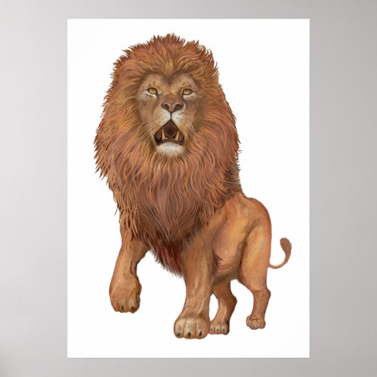 Poster Lion (Devant)