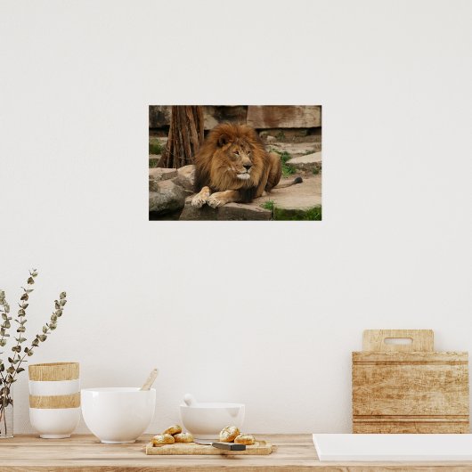 Poster Lion (Cuisine)