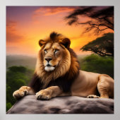 Poster Lion (Devant)