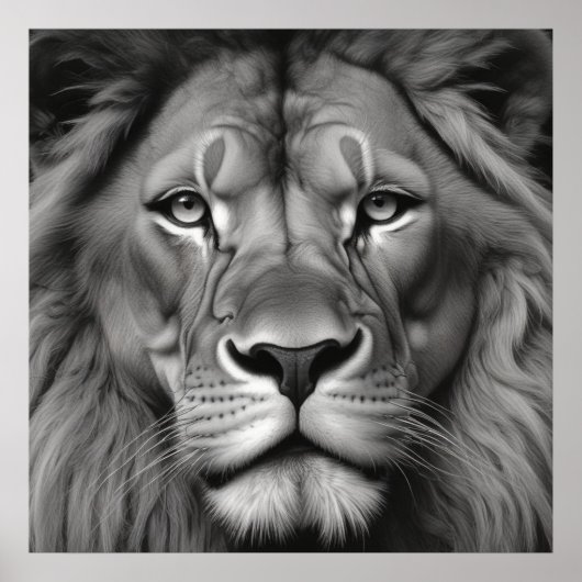 Poster Lion (Devant)