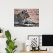Poster Lion (Bureau à domicile)