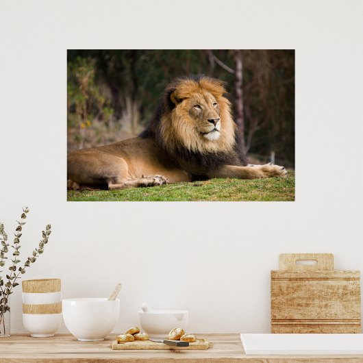 Poster Lion (Cuisine)