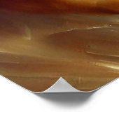 Poster Lion (10) Chat sauvage (Coin)