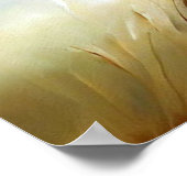 Poster Lion (7) Chat sauvage (Coin)