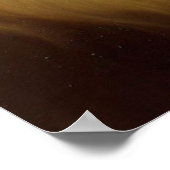 Poster Lion (9) Chat sauvage (Coin)