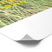 Poster Lion Accroché, Caché Non (Coin)