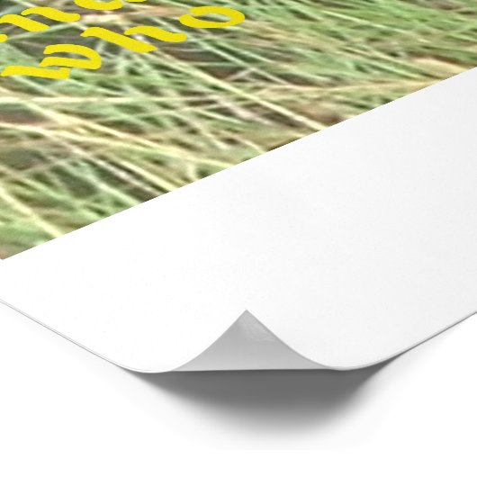 Poster Lion Accroché, Caché Non (Coin)