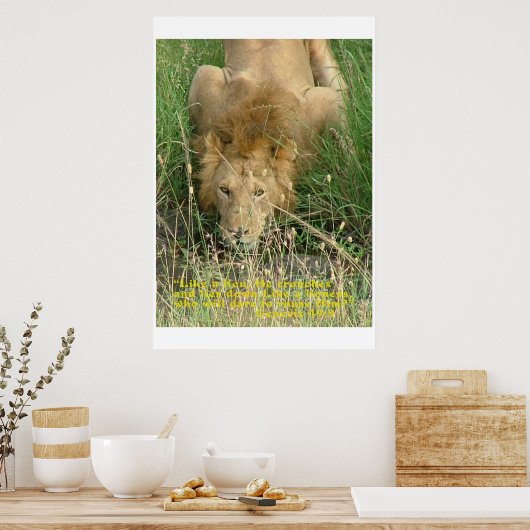 Poster Lion Accroché, Caché Non (Cuisine)