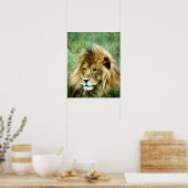 Poster Lion africain (Cuisine)
