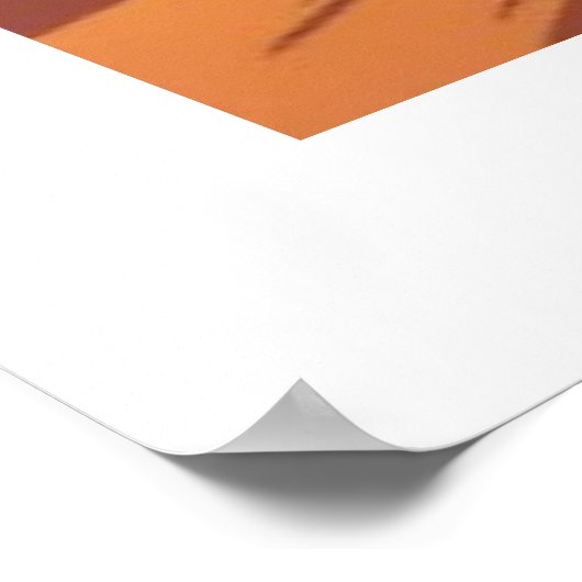 Poster Lion and Llama Dash (Coin)