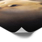 Poster Lion and the Lamb (Hoek)