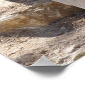 Poster Lion assis sur les rochers (Coin)