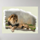 Poster Lion At Rest Lion Love Art (Devant)