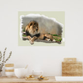 Poster Lion At Rest Lion Love Art (Cuisine)