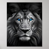 Poster Lion bleu (Devant)