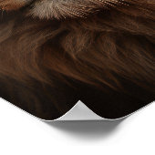 Poster Lion bleu (Coin)