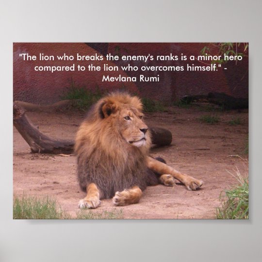 Poster Lion Citation Zazzle Be