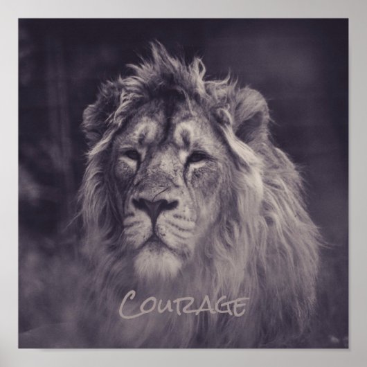 Poster Lion Courage Roi de la Jungle (Devant)