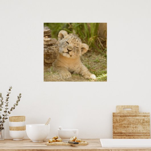 Poster Lion Cub (Cuisine)