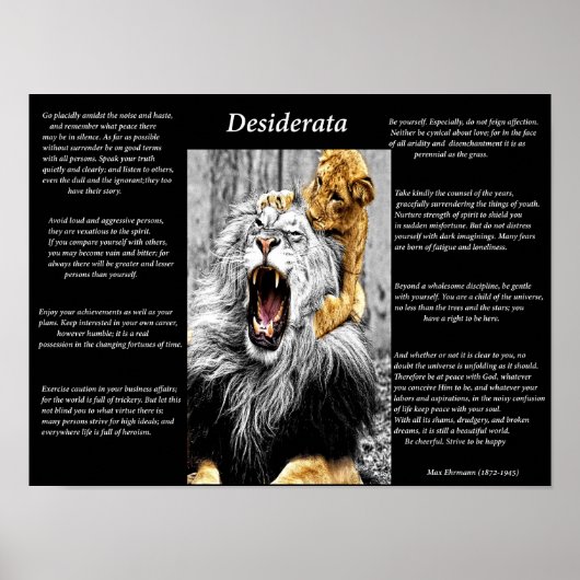 Poster Lion Cub (Devant)