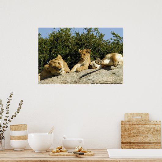 Poster Lion Cub (Cuisine)